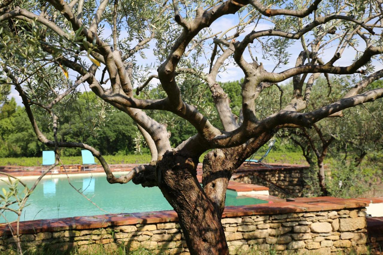 Gite Des Amis Domaine De Mas Caron Caromb Luaran gambar