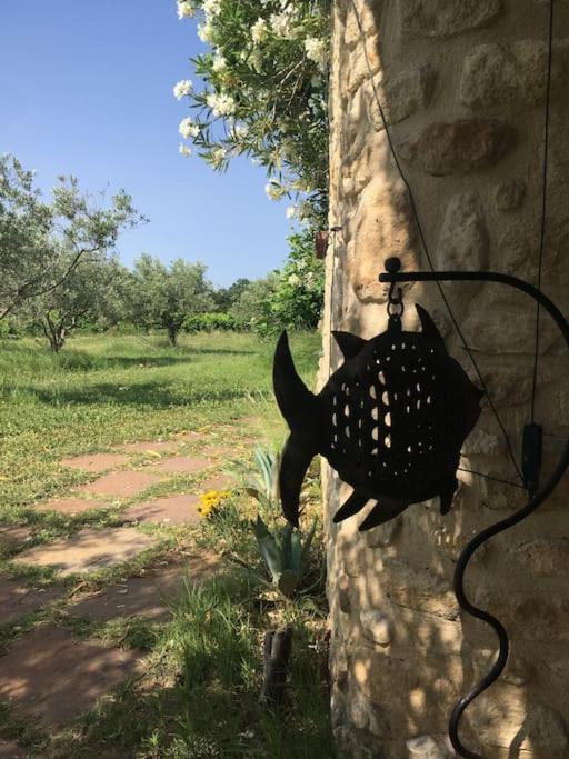 Gite Des Amis Domaine De Mas Caron Caromb Luaran gambar