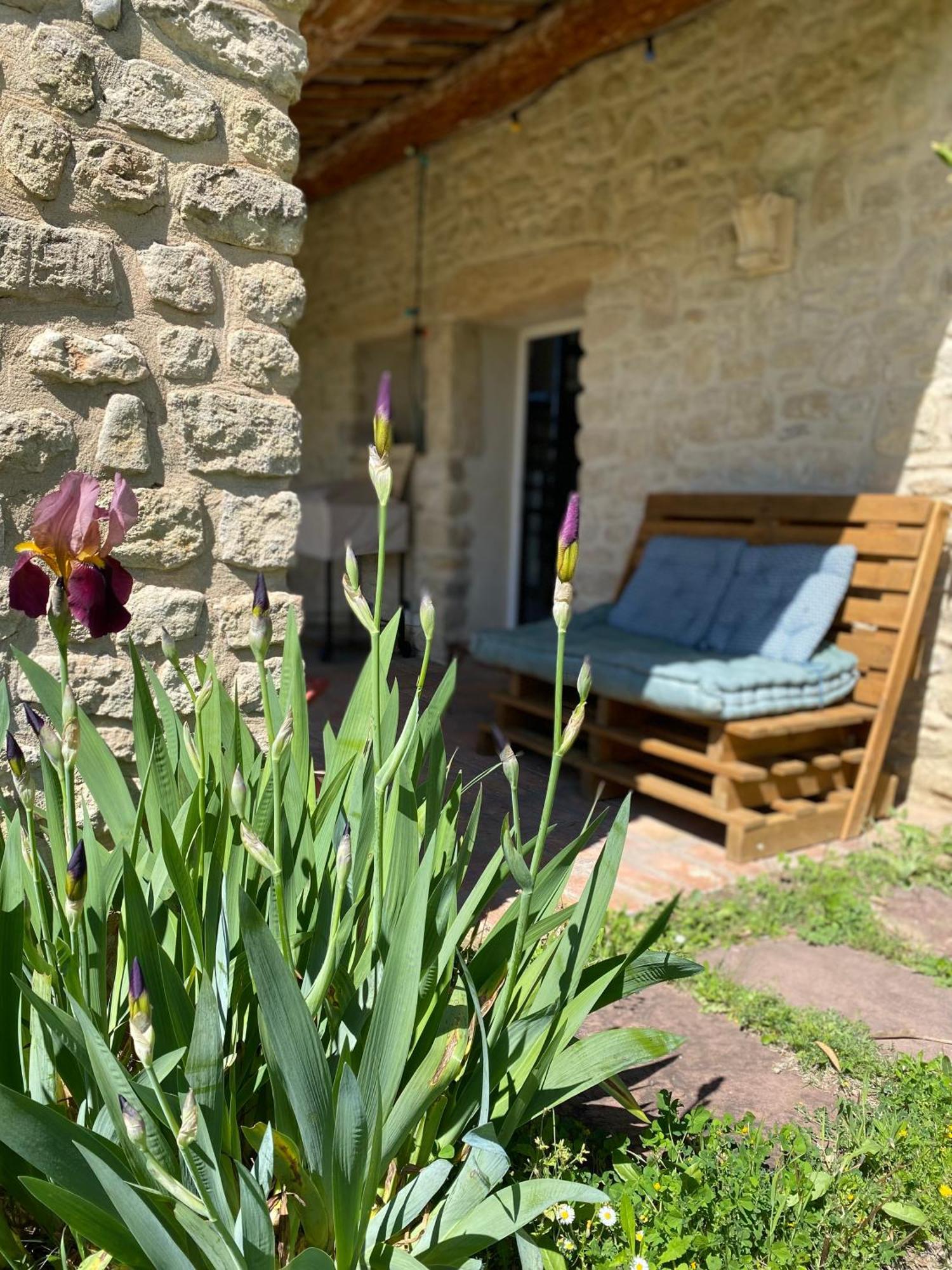 Gite Des Amis Domaine De Mas Caron Caromb Luaran gambar